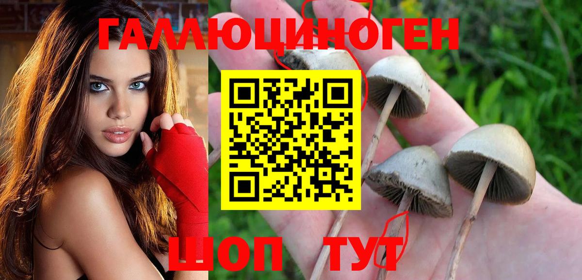 Псилоцибиновые грибы Magic Shrooms Алейск