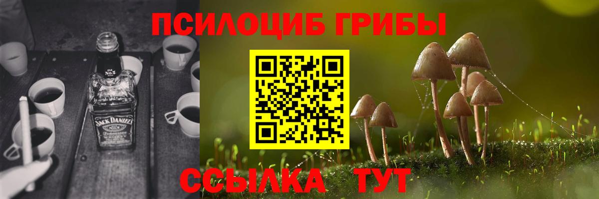 Алейск  Галлюциногенные грибы Psilocybine cubensis  Вход с VPN 